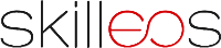 1 Logo Skilleos gris